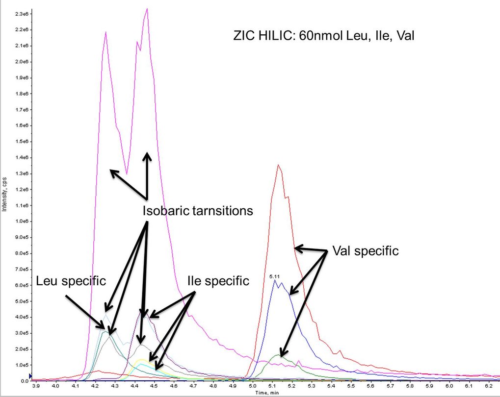 Seperation of BCAA on a zwitterionic HILIC column