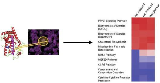 Structure-function relationship of novel selective nuclear receptor agonists