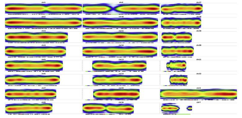 Genome-wide distribution of differential methylations in prostate cancer, shown are individual chromosomes with red indicating high accumulation of methylations and blue low levels