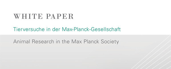 Hier finden Sie die Position der Max-Planck-Gesellschaft zu Tierversuchen in der Grundlagenforschung.