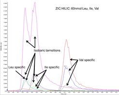 Figure 3: Seperation of BCAA on a zwitterionic HILIC column