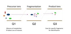 Figure 1: Fragmentation scheme
