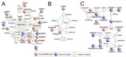 Novel ARID genes encode components of key cellular protein networks (from Najmabadi et al., 2011).