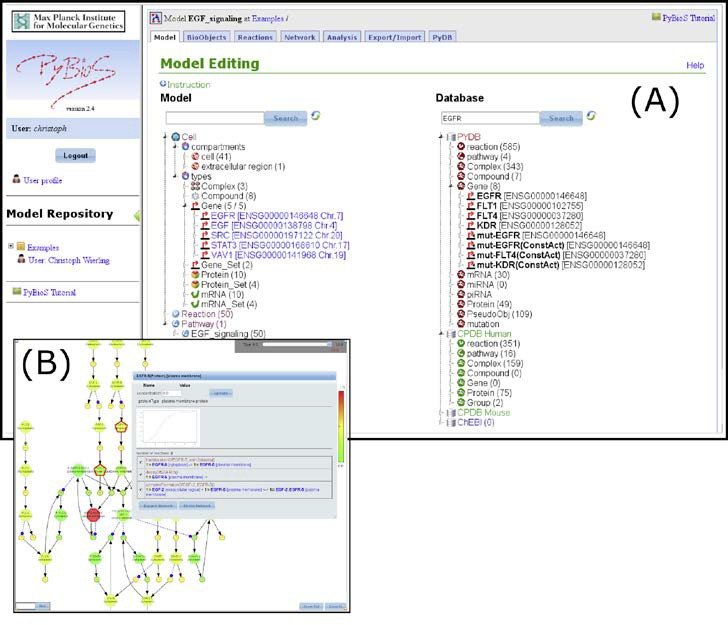<p>(A) The PyBioS software (http:// pybios.molgen.mpg.de) acts as a repository for mathematical models of biological systems. Different tabs of the web interface provide functions for model design, simulation, analy- sis, and visualization (B).</p>