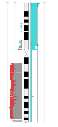 Group ExplorerA tool to identify recurrent aberrations in large cohorts and to compare patterns of chromosomal aberrations between groups of patients. Videos demonstrating the workflow can be downloaded here and here (410Mb). Compressed versions of these files are available here (25,7Mb) and here (40,7Mb).