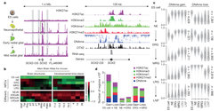 Dissecting regulatory networks of cortical differentiation from human pluripotent stem cells. From Ziller, Edri et al., Nature 2015.