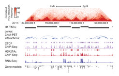 Mapping transcriptional regulatory landscapes