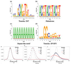 Determining the statistics of motif hits is particularly difficult when a motif is palindromic or low complexity. The densities show the quality of the approximation to the empirical distribution.