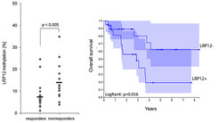 Figure 2: LRP12 marker validation in independent patient tumors (left); Kaplan-Meier survival curve (right).