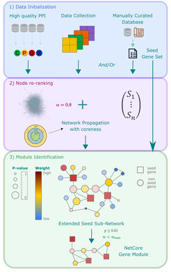 Figure 5: Network propagation framework