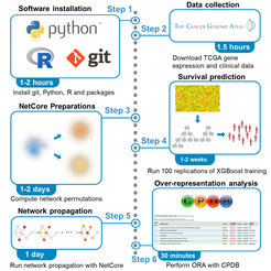 Figure 7: Predict and Propagate – workflow for cancer patient survival prediction and identification of biologically plausible features.