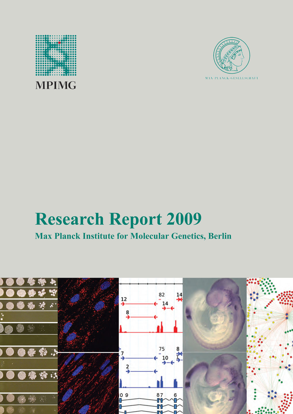 molecular genetics research papers