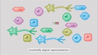See how researchers at the Allen Discovery Center at UW Medicine traced an important period of organ formation, cell by cell, in the developing mouse. Video credit: Topla Studio.