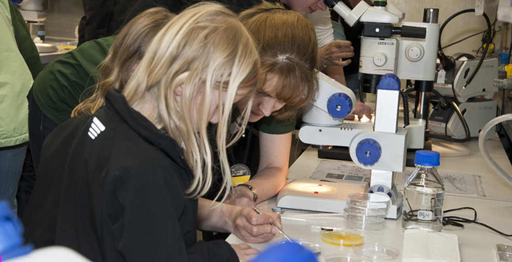 Laborführungen und Mitmach-Experimente ++ Lab tours and hands-on experiments