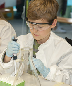 Nachwuchswissenschaftler bei der Arbeit