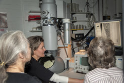 Demonstration am Elektronenmikroskop