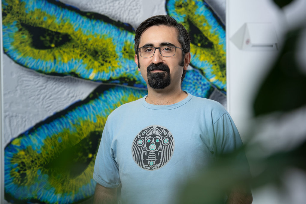 Ibrahim Avsar Ilik