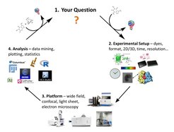 Figure 1: Imaging biological samples is often an iterative process. Our service group supports users at all levels including project planning, data acquisition and analysis as well as workflow optimization.