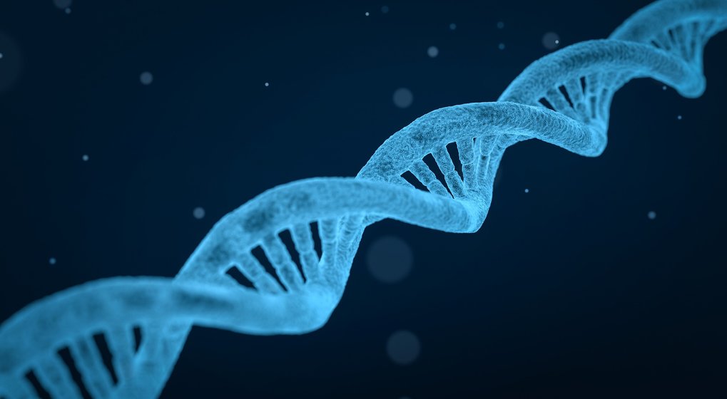 Deep Learning for the Molecular Sciences
