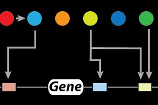Systems Epigenetics Group