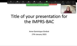 Ideally the view in your video should look like this (full screen, small speaker window)