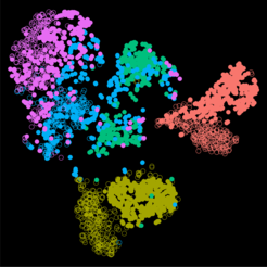 A visualisation of the single-cell analysis of mouse embryonic stem cells, with each point representing an individual cell. Relative position indicates similarity in gene activity profile and colors the measurement time points