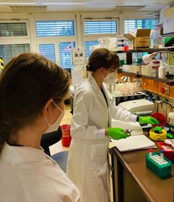 Die Schülerin Lioba begleitete die Arbeit von Lisa Martina für zwei Wochen