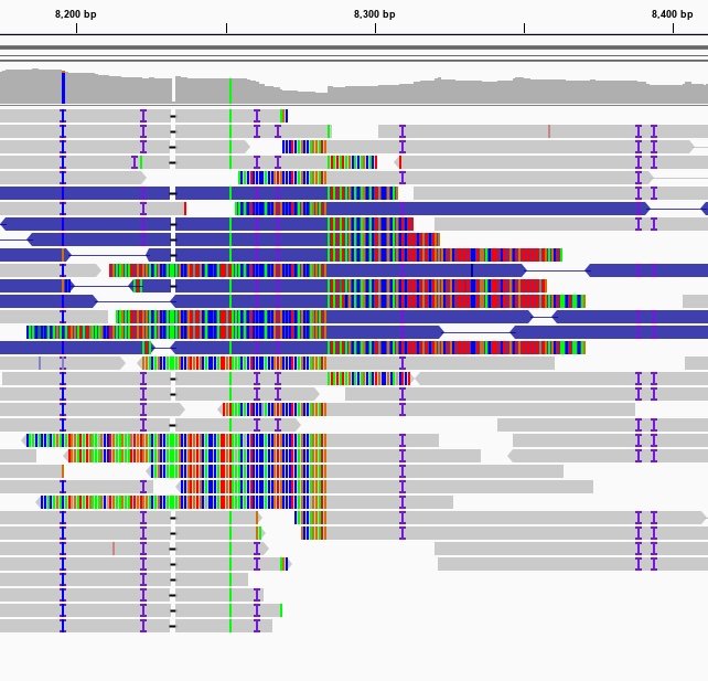 Classification of Correlated&nbsp;Mutations using Machine Learning