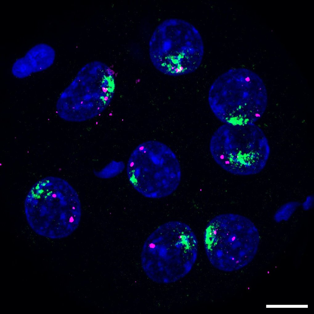 Systems Epigenetics Group