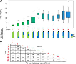 Figure 4: A) Genotype clusters of mice (1-18; X-axis) derived from SNP markers on chromosome 5 and tumor multiplicity phenotypes (Y-axis). Color gradient reflects different proportions of B6 (blue) and PWD genotypes (green). B) Pairwise Mann-Whitney tests of the tumor multiplicity across the different clusters.
