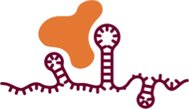 [NEW] - lncRNAs in 3D &ndash; dissecting the gene regulatory function of long non-coding RNAs&nbsp;