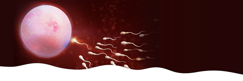 2nd Meeting on Early Embryogenesis and Epigenetics: New approaches to early embryogenesis and epigenetics 2nd Meeting on Early Embryogenesis and Epigenetics: New approaches to early embryogenesis and epigenetics