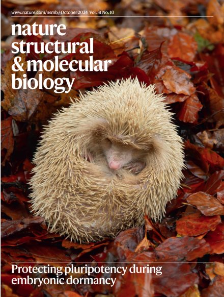 More Publications (Optional)