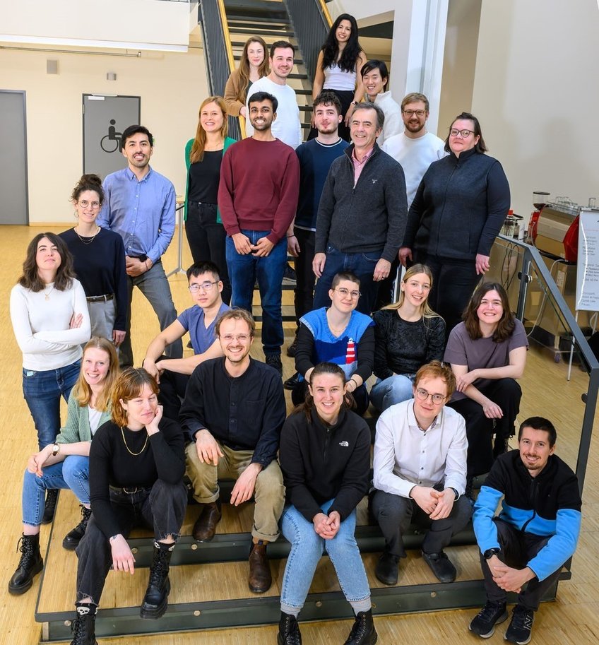 Development and Disease Team Development and Disease Team
