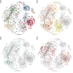 Nodes and edges of the different transcriptional networks specific to MB sub-groups represented by the different colors.