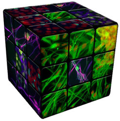 Cellular Rubics cube