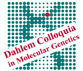 Dahlem Colloquium: “Dissecting RNA metabolism using single molecule microscopy” 