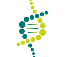 Nanocourse: Growth Factor Signalling Interplay with Cell Mechanics Nanocourse: Growth Factor Signalling Interplay with Cell Mechanics
