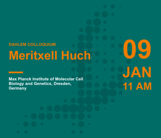 Meritxell Huch: Human organoids to model disease