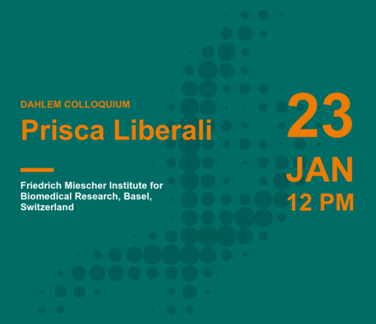 Prisca Liberali: Design principles of tissue organization