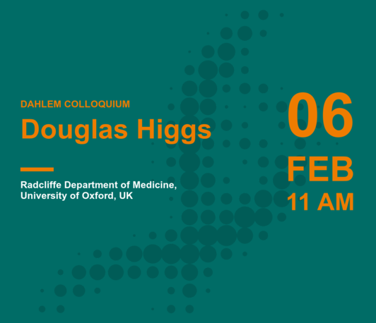 Douglas Higgs: Dissecting and rebuilding a super-enhancer