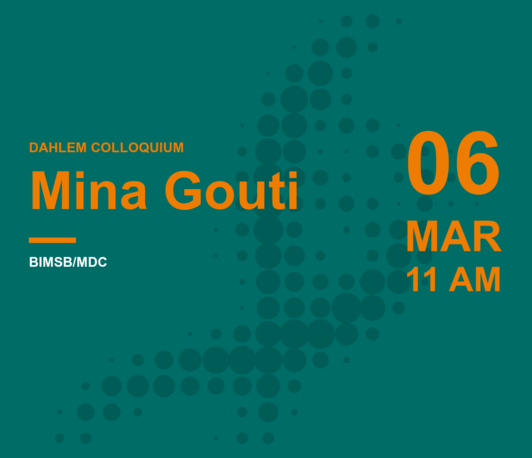 Mina Gouti: Building advanced human neuromuscular organoids to study development and disease