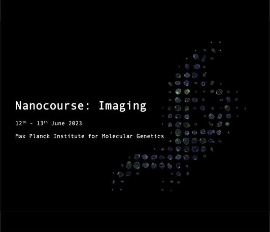 Nanocourse: Imaging
