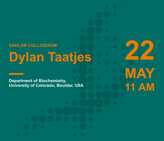 Dylan Taatjes: Understanding transcription regulation through transcriptomics and biochemical reconstitution