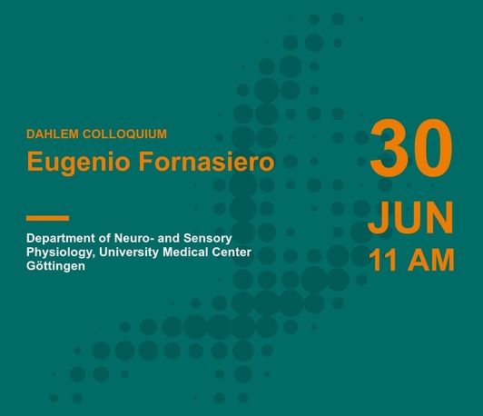 Eugenio Fornasiero: Proteome turnover and spatial nano-mapping: an integrated view of brain physiology and aging Eugenio Fornasiero: Proteome turnover and spatial nano-mapping: an integrated view of brain physiology and aging